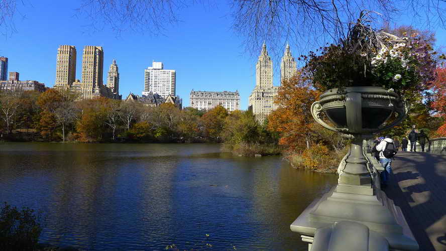 NYC_2017-11-23 11-23-20_P1140143
